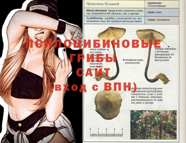 эйфоретик Белокуриха