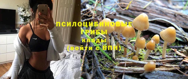 гашишное масло Богородицк