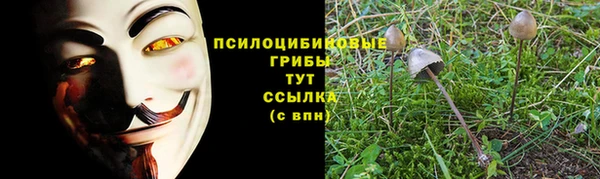 эйфоретик Белокуриха
