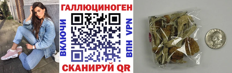 Псилоцибиновые грибы MAGIC MUSHROOMS Бежецк