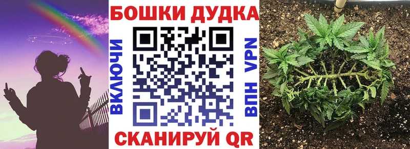 МЕГА ссылки Бежецк Марихуана сатива